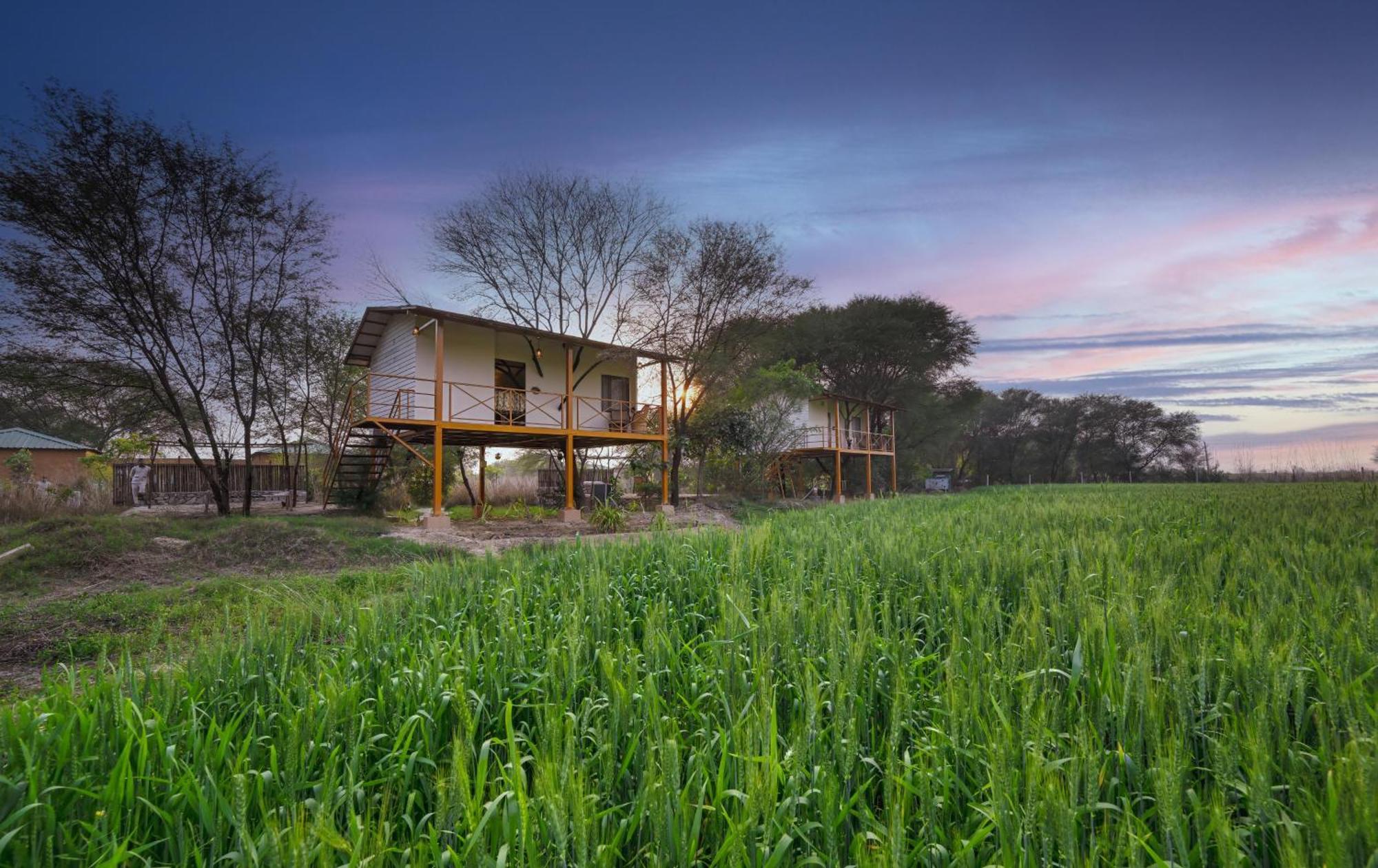 Bagh Serai - Rustic Cottage With Private Pool Савай-Мадхопур Экстерьер фото